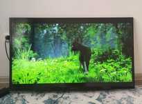 Телевизор SONY KDL