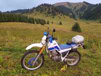 Yamaha Serow 225