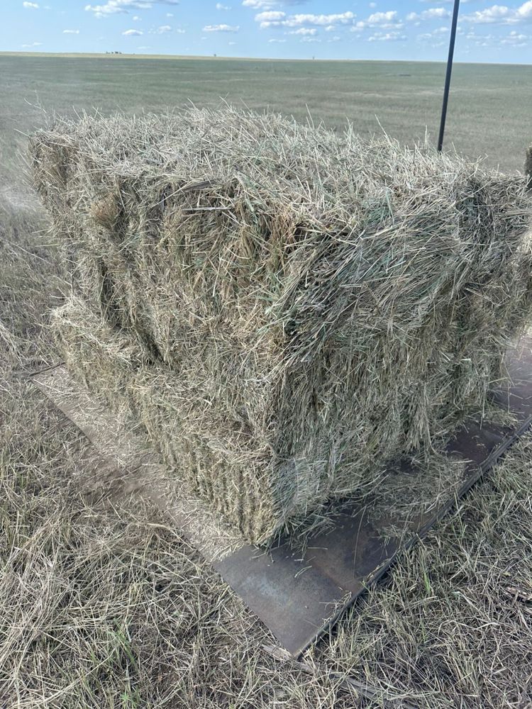 Продам сено в тюках