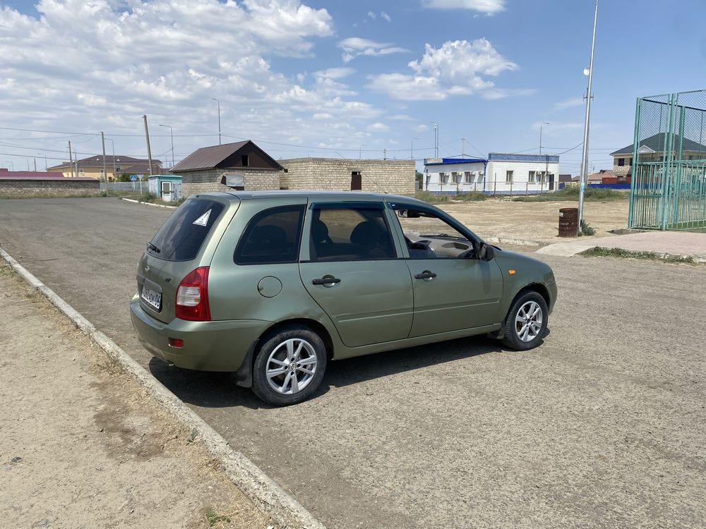 Калина универсаль