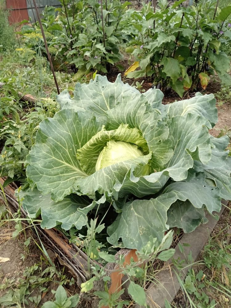 Срочно продам дачу на Бобровке