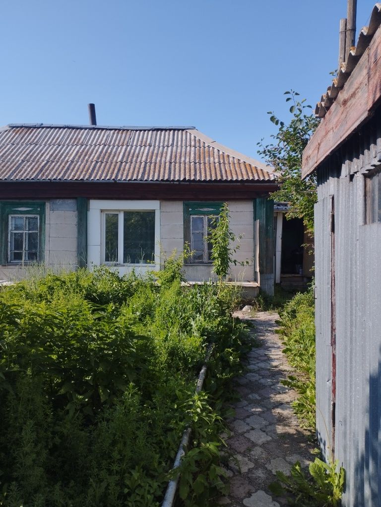 Продам дом в Боровом