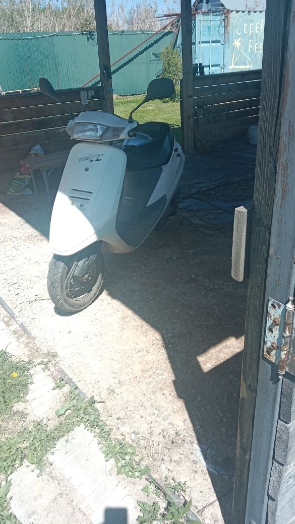 Скутер Honda Tact 24