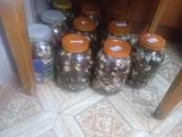 Продам грибы соленые
