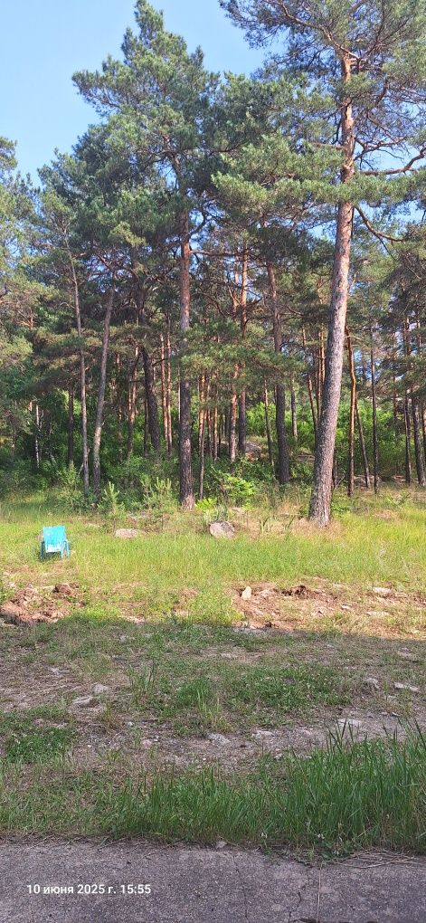 База отдыха в Боровом