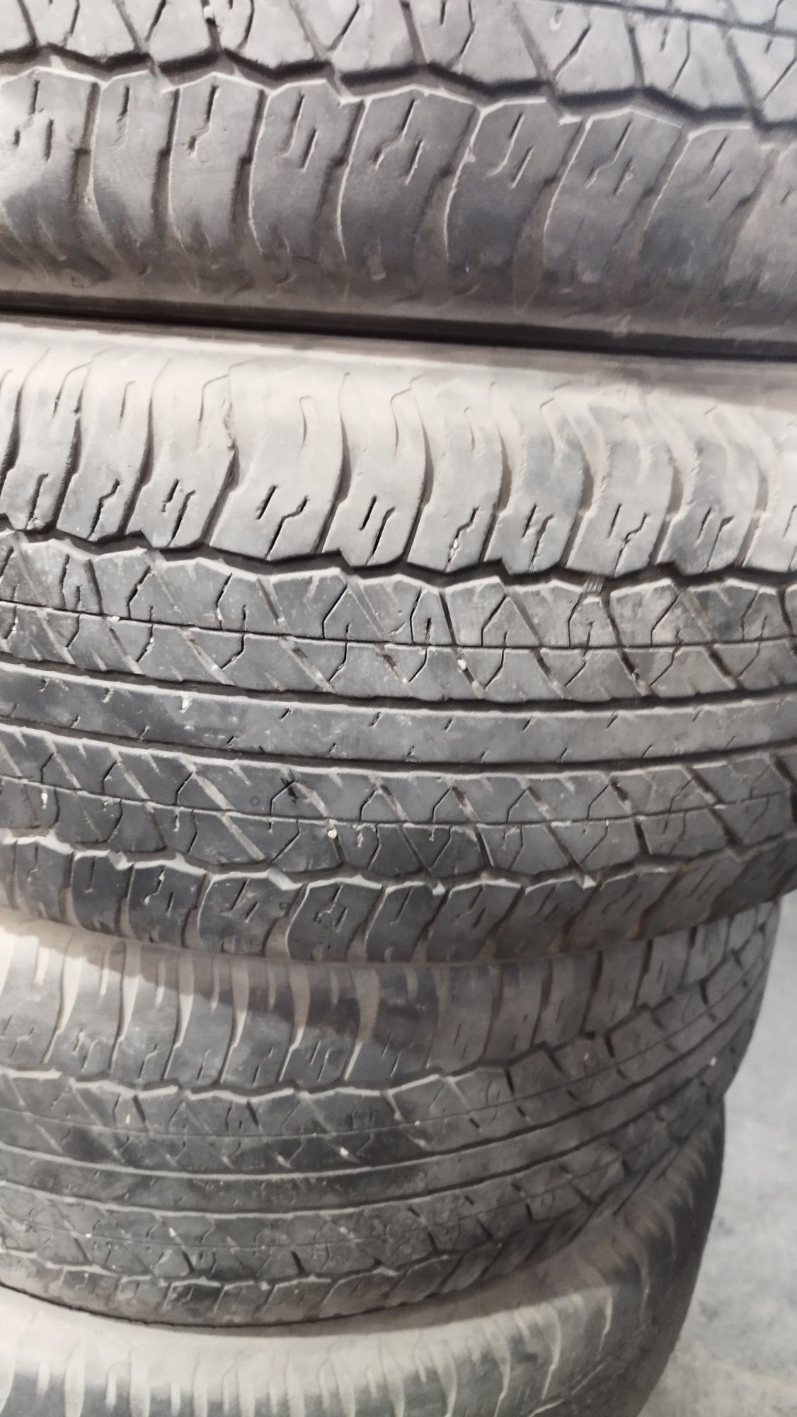 Комплект шин  Dunlop