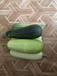 Продам кабачки домашние