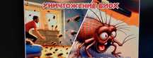 предоставляем услуги      обработка от блох