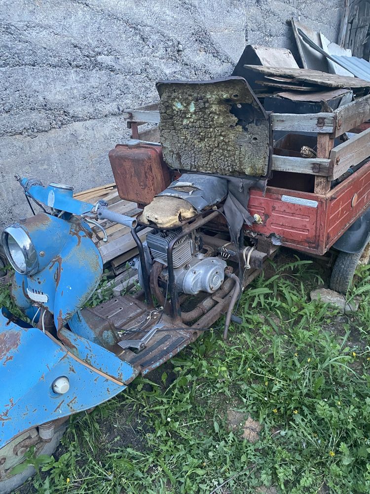 Продам муравей