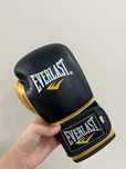 перчатки EVERLAST
