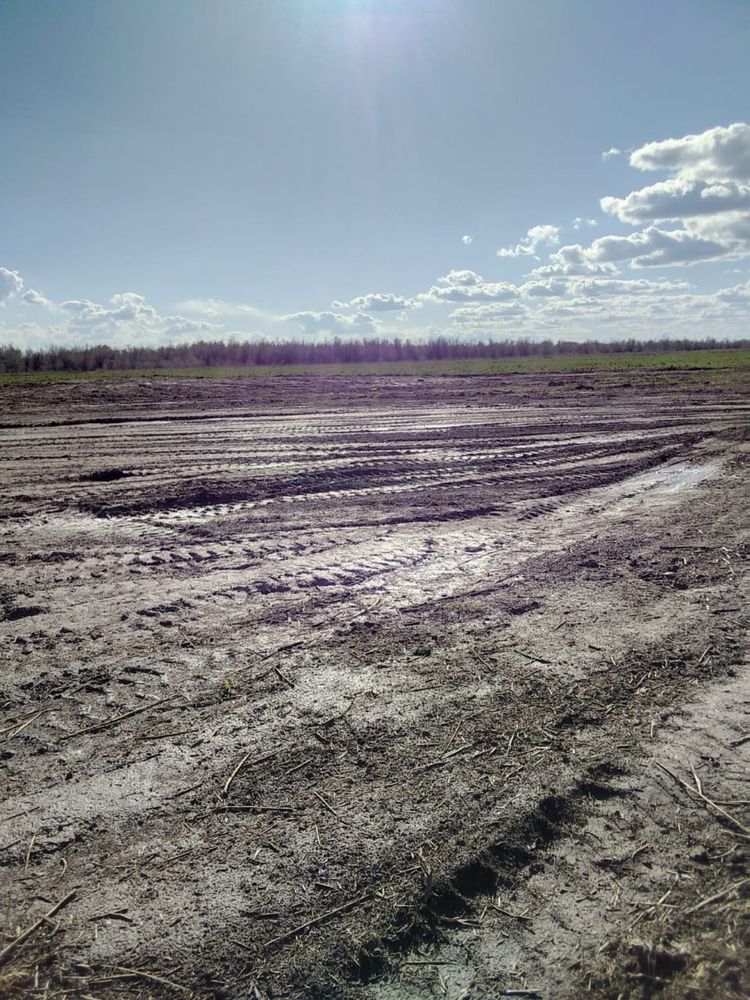 Продам землю в Байсерке
