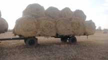Продам тележку сеновоз длина 7.60 ширина 3,60