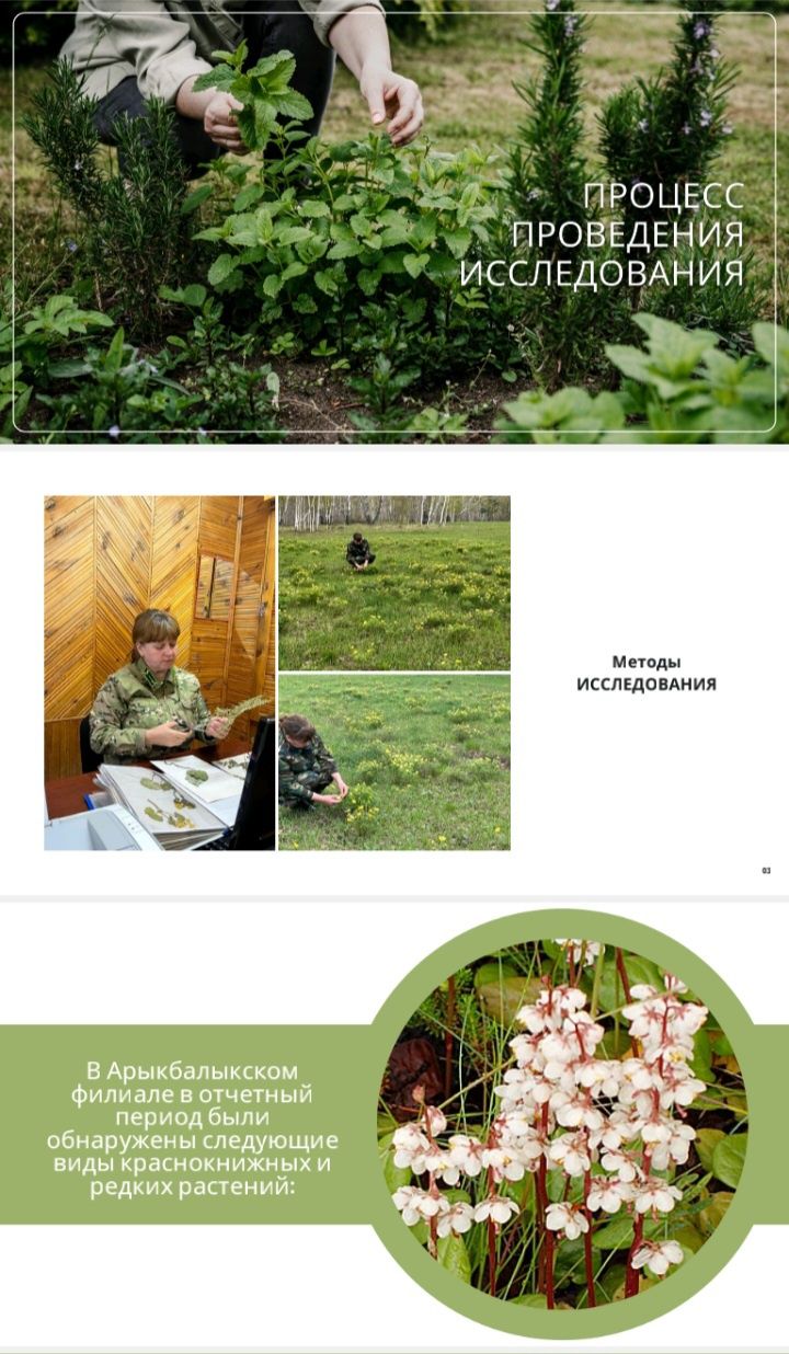 Презентации, курсовые, дипломные, магистерск. проведу через антиплагиа