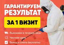 Дезинфекция/ Уничтожение клопов/тараканов/клещей/грызунов Дизенфекция