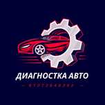 автодиагностика на выезд, Диагностика авто Электронщик, на выезд 24/7