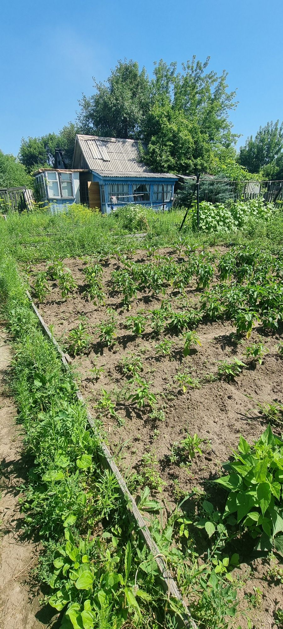 Продам дачу .Сад Здоровье.