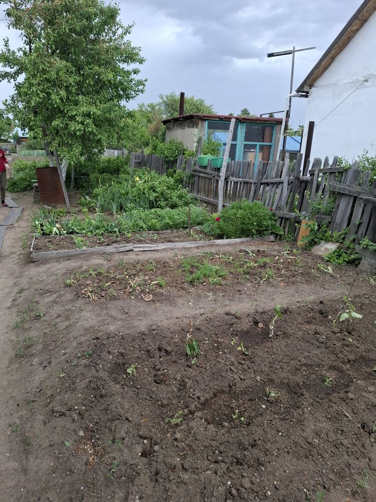 Дача продаётся осенью
