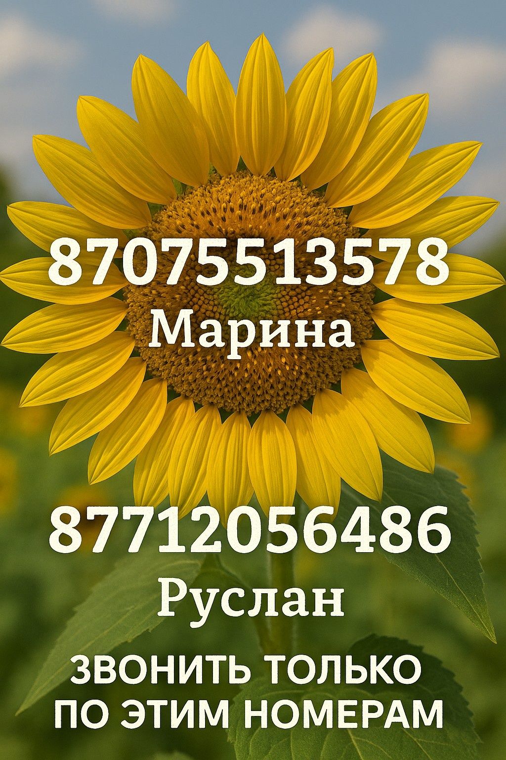 Срочно!!! Недорого!!!
