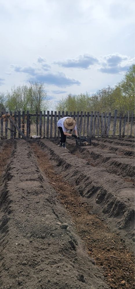 Сррчно продаю дачу в обществе Черемушки
