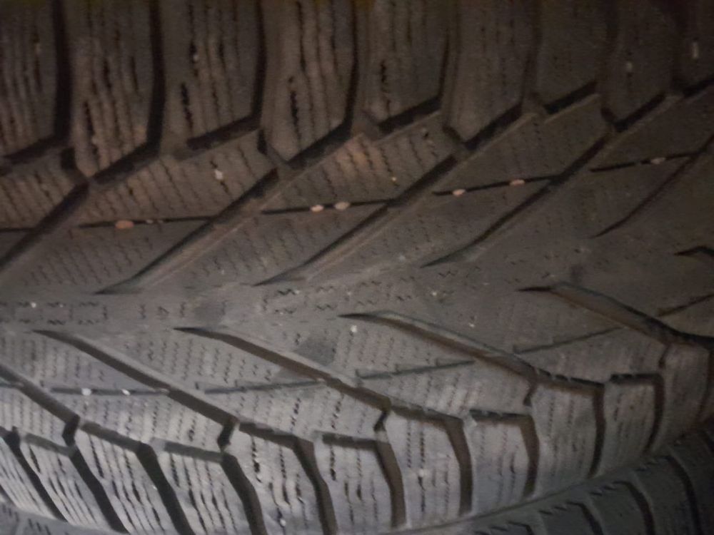 Резиновые балонны Nokian всесезонка
