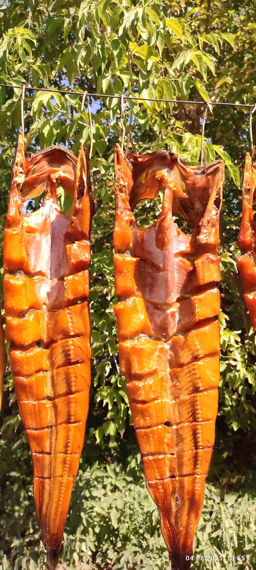 Копченая рыба с озера Балхаш. Готовим сами. Вкусная.