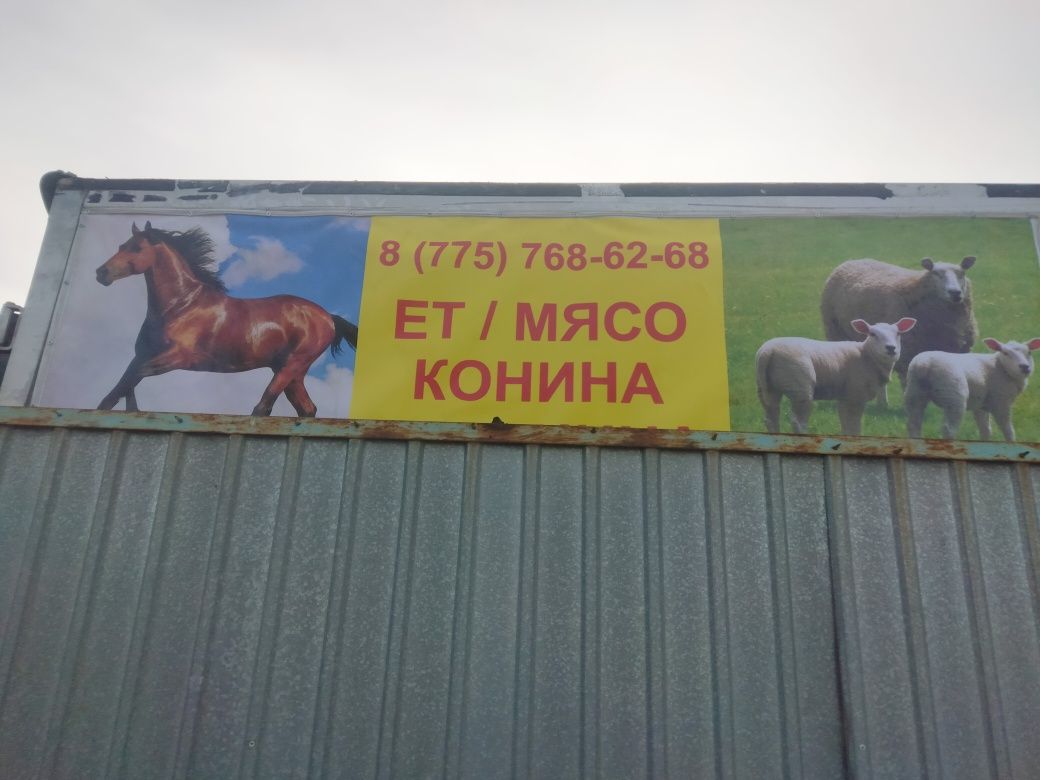 Продаём конину байтал Тай