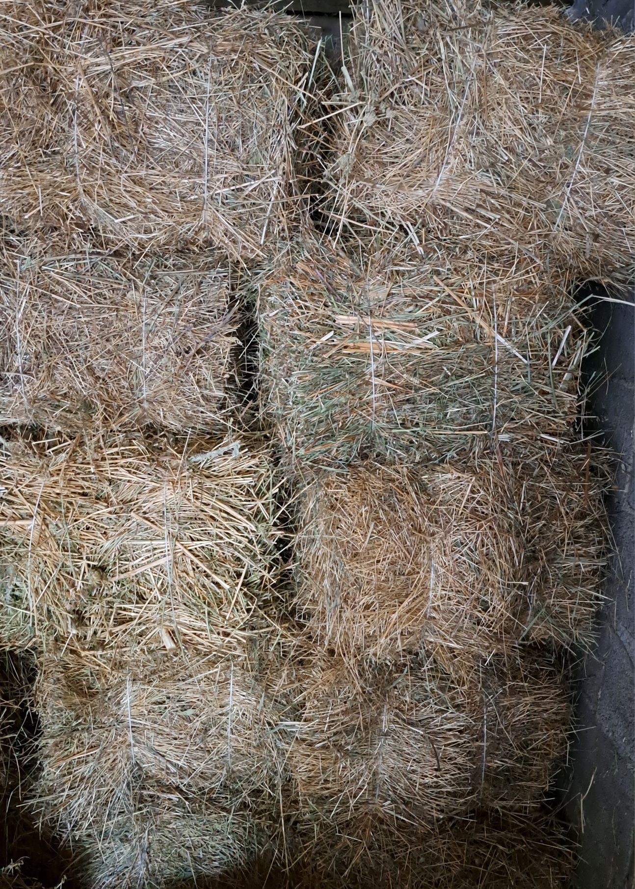 Продам сено разнотравие