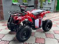 Atv Квадроцикл 2025г MOWGLI MINI HARDY 50 кубов (Новый Детский)49-CC