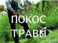 Шөп орамыз , тал дәрілеу