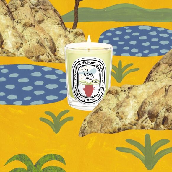 Diptyque Citronnelle парфюмированная свеча 35гр.