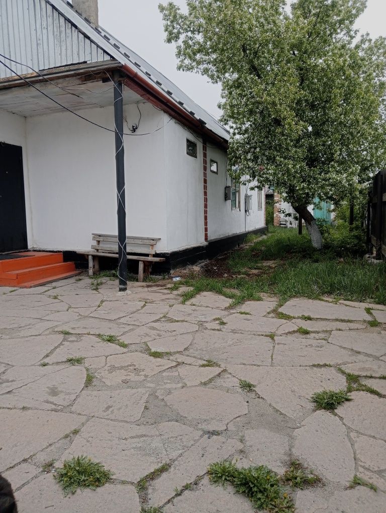 Аренда дома посуточно