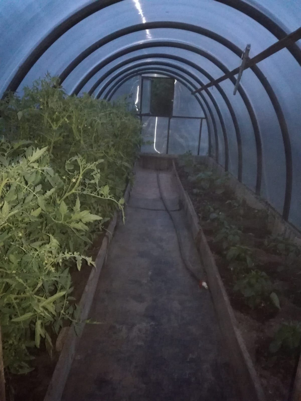 Продается дом+участок с отдельным адресом, участок входит в стоимость.