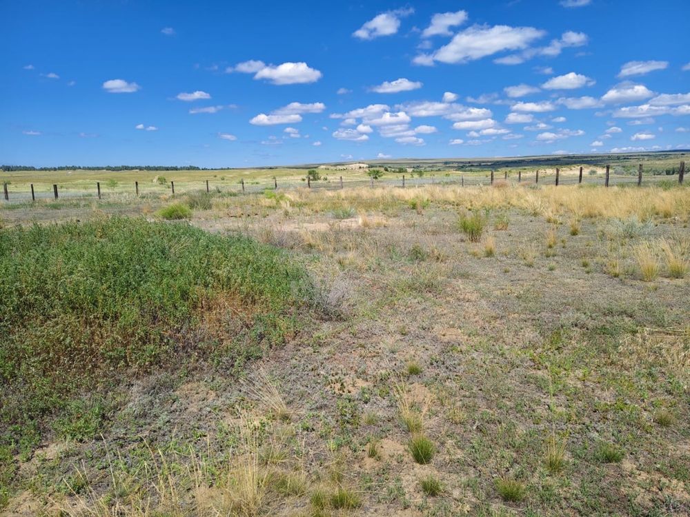 Продам дом село Новостройка, район Самар