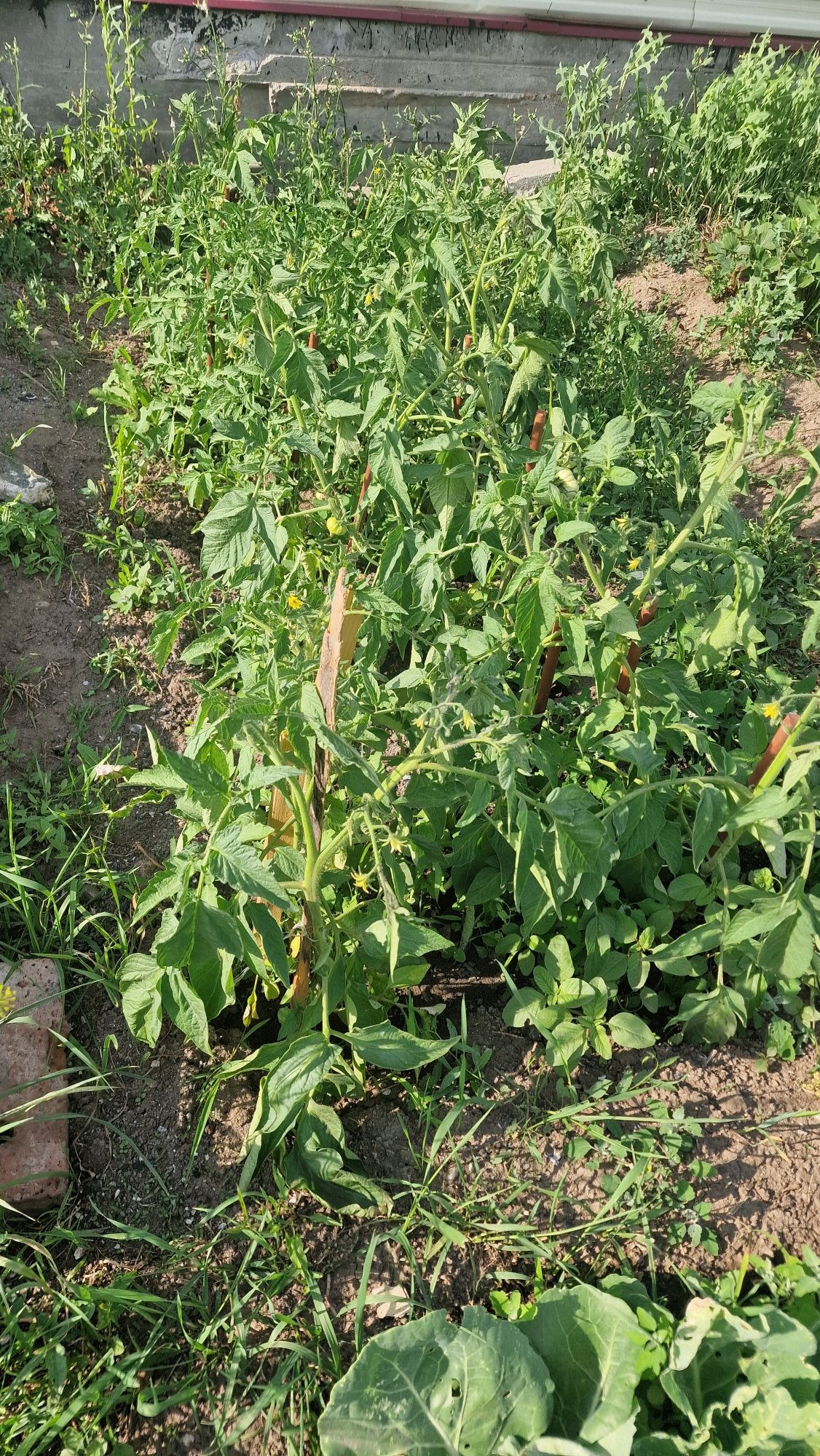 Продам дом 3х комнатный Ахмирово