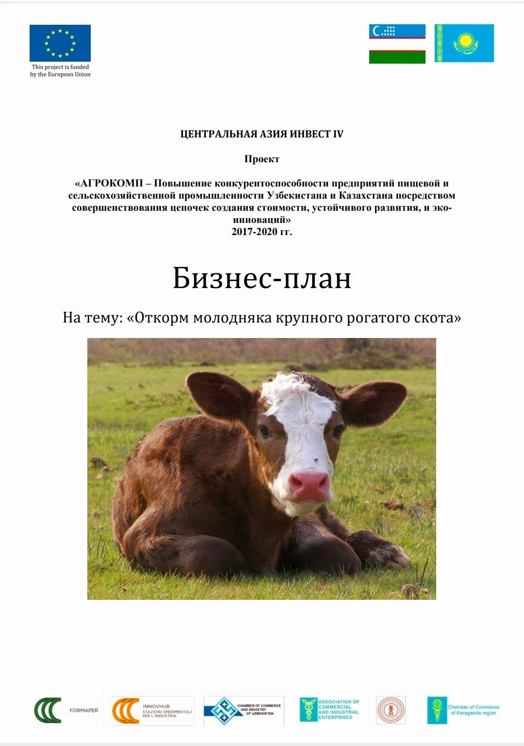Презентация, бизнес планы, флаеры, фотомонтаж, оформление обложек