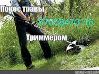 Потом травы триммером