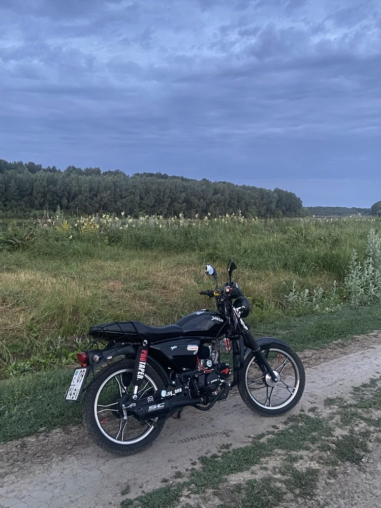 Alpha 110сс