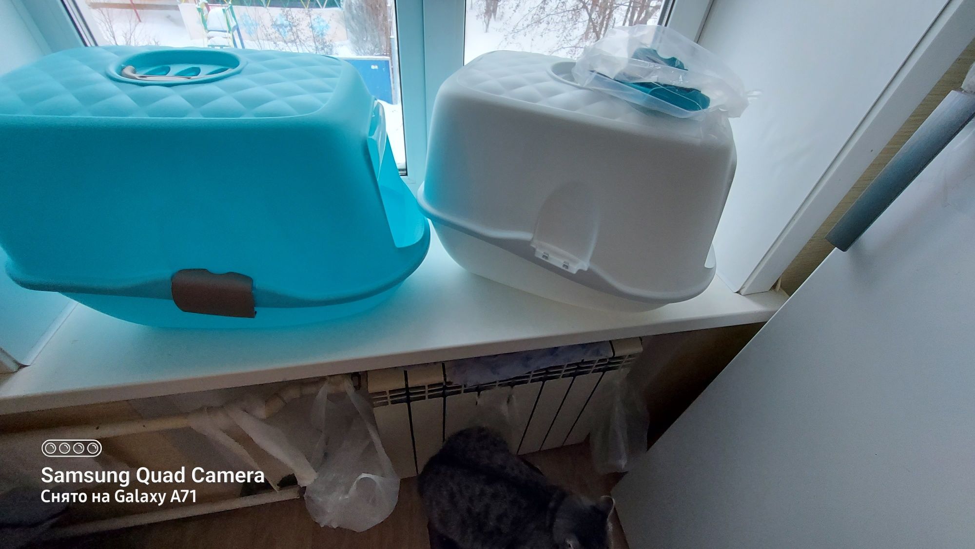 Продам туалет лоток домик с закрытым верхом для кошек среди  крупных п