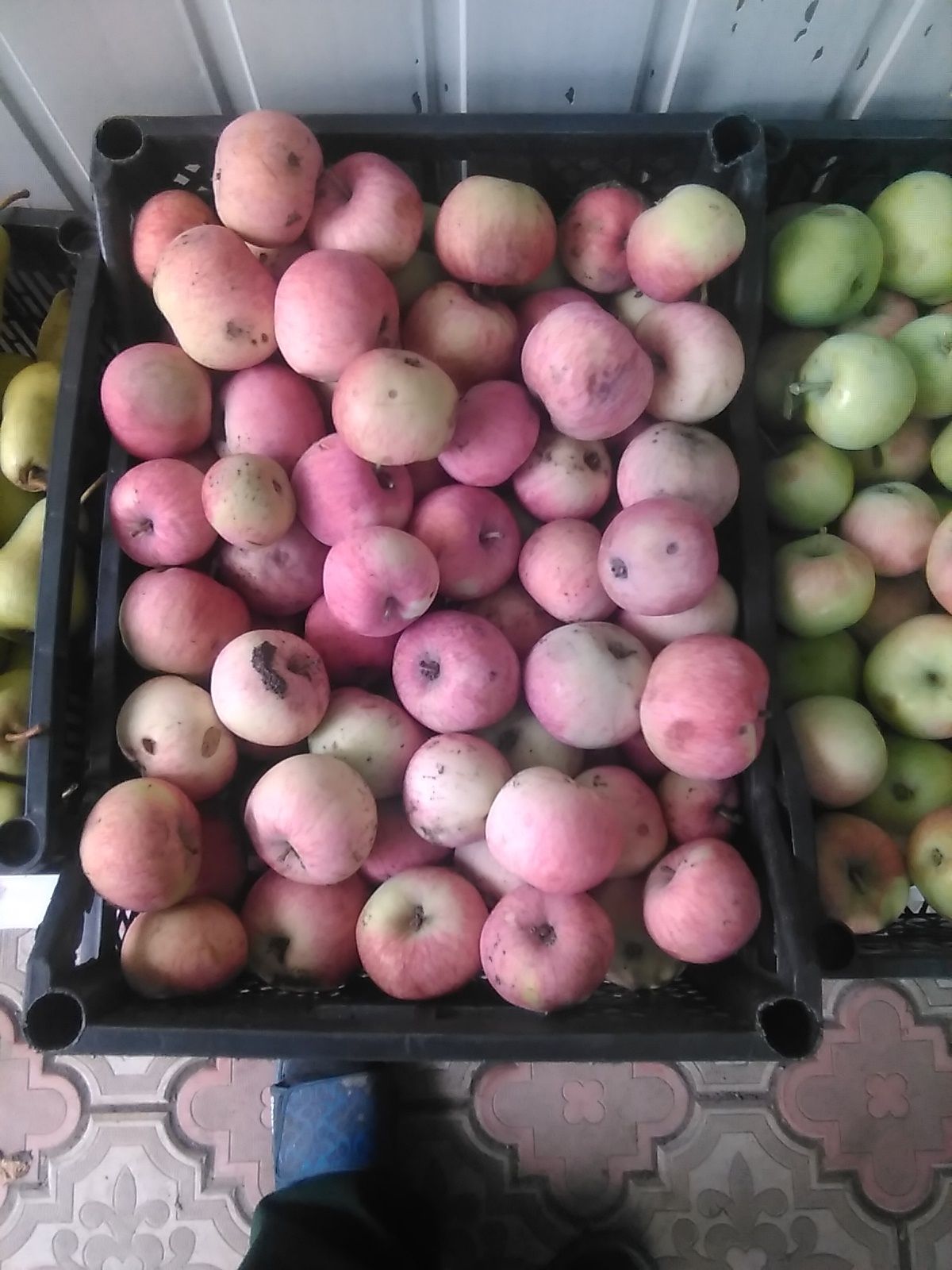Продам урожай домашний, дачный