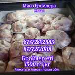 Бройлер тушки окорочка тауық құс еті