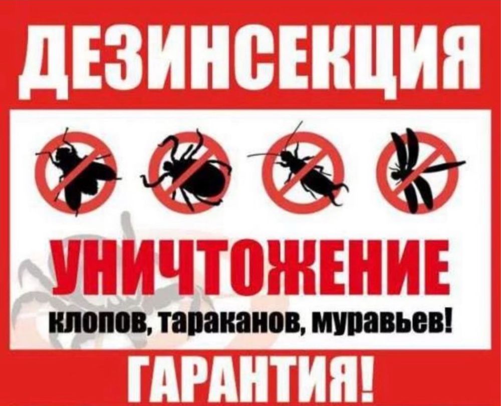 Обработка клопов, термитов,  Актау. Кандала,термит,таракан улау