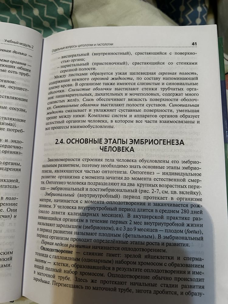 Дождевик и ботиночки для собак мелких пород
