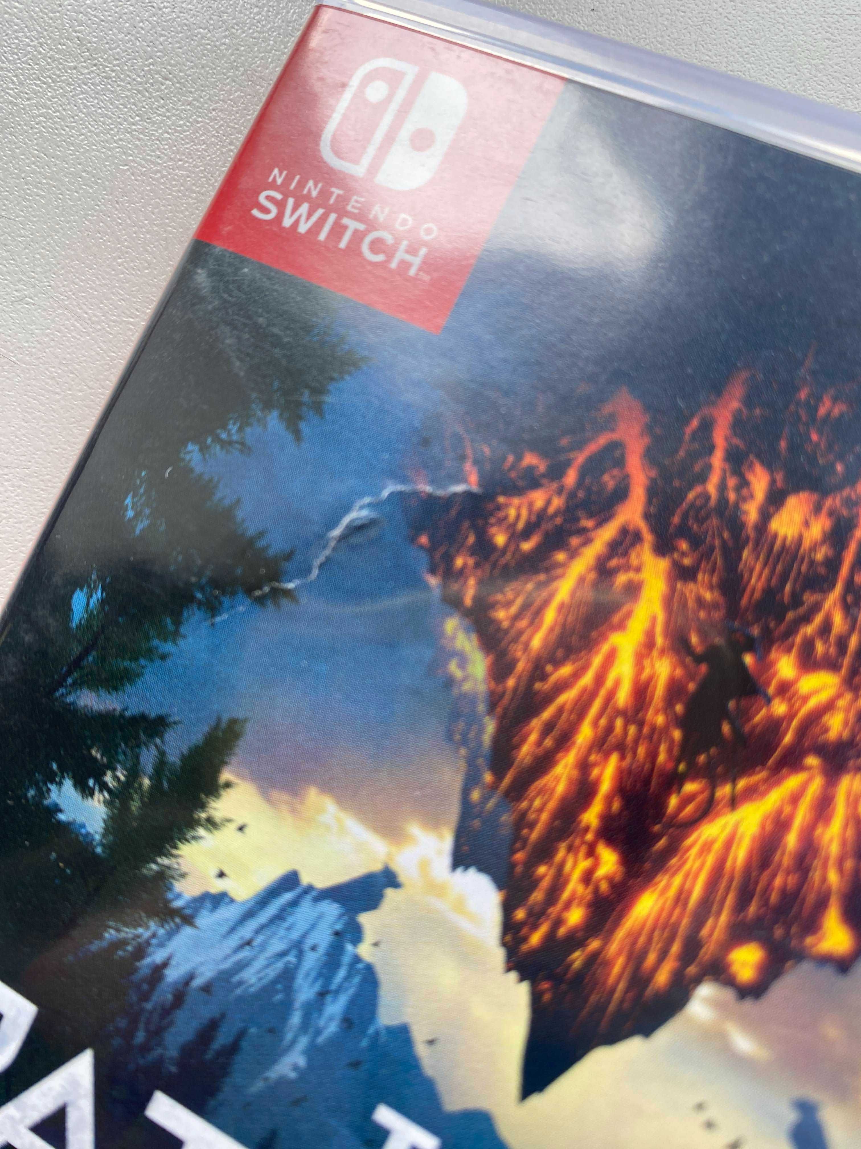 Редкие игры на Nintendo Switch