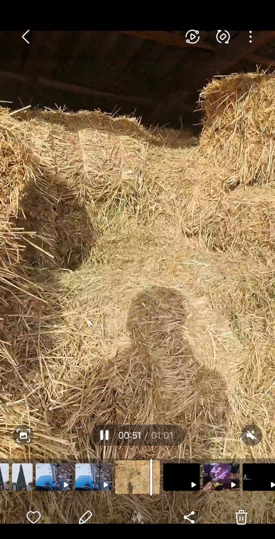 Прес шөп бор 5000шт бағасы 800