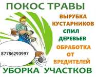 Покос травы и кронирование деревьев.
