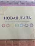 Проведение трансформационной игры Новая Лила