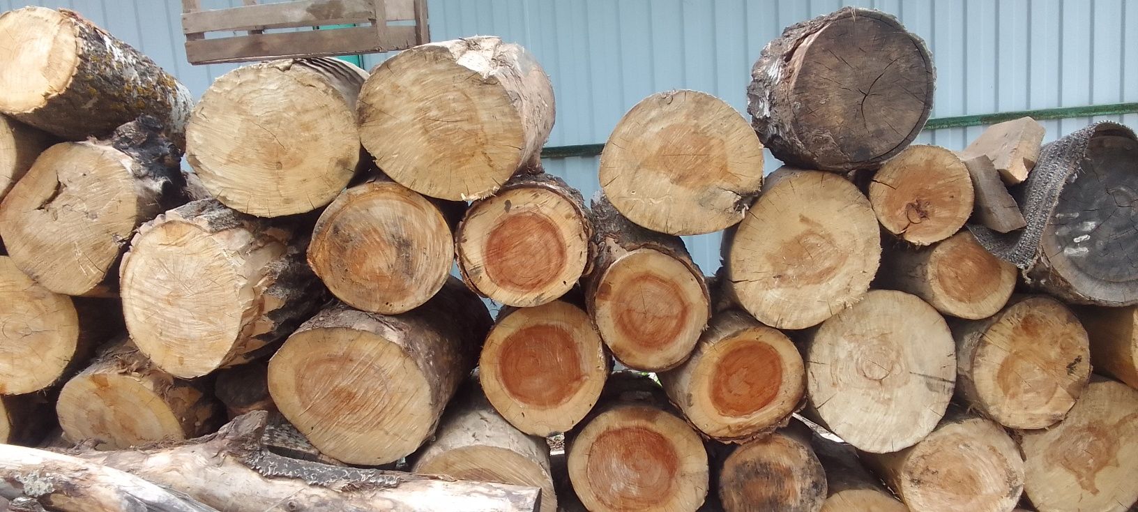 Продам чурбаки по 2000 тенге для рубки мяса .
