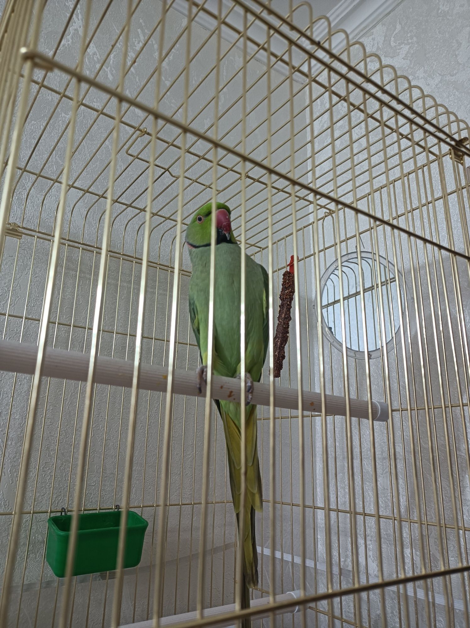 Продаю клетку новую