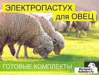 Электропастух для овец
