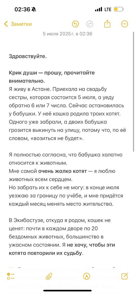 Шотландцы Котята в добрые руки